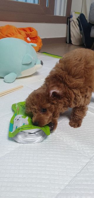 두공주맘님이 올린 리뷰 사진 4