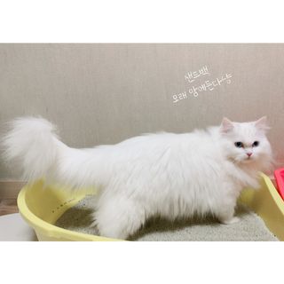 똥비님이 올린 리뷰 사진 3