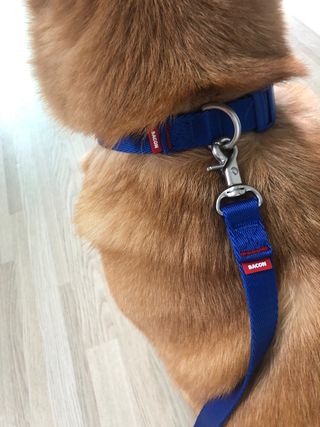 잘되길바래솔이님이 올린 리뷰 사진 3