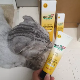 에디터보나님이 올린 리뷰 사진 1
