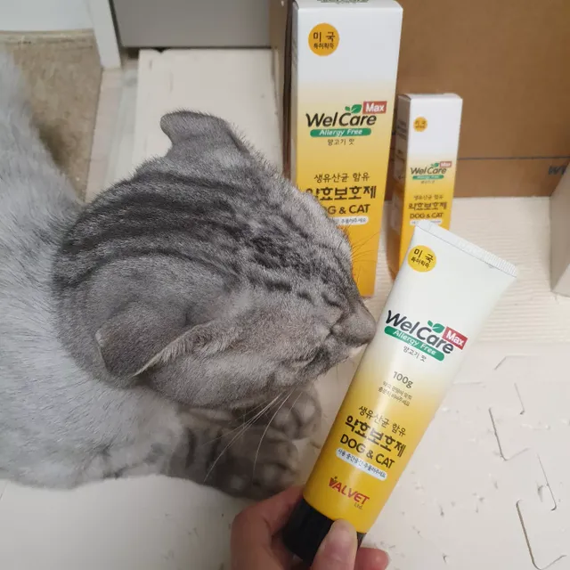 웰케어맥스 양고기맛 100g + 25g 리뷰 사진