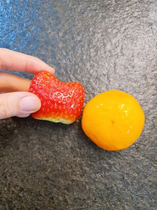 옳음 딸기 논산 설향 딸기 900g 산지직송 — 5점을 준 리뷰어가 2021년 1월 올린 사용 사진