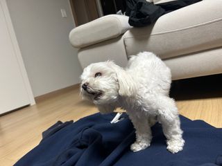 세지니힛님이 올린 리뷰 사진 4