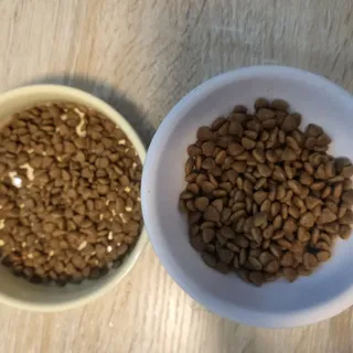 [푸디웜] 라포그 리얼인섹트 소프트키블 스킨 1KG — 5점을 준 리뷰어가 2022년 9월 올린 사용 사진