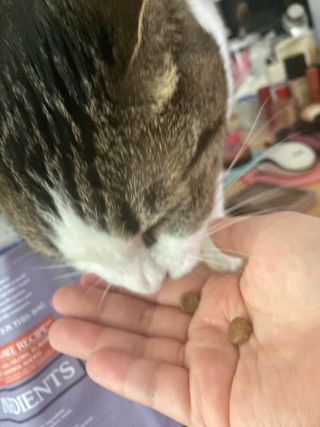 라라님이 올린 리뷰 사진 2