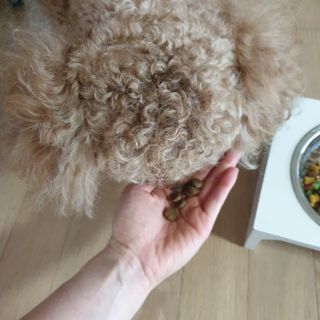 KyungEunMin님이 올린 리뷰 사진 2