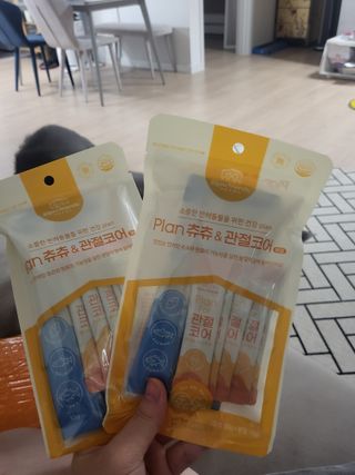 비쥬프렌즈 플랜 츄츄&건강 코어(장/관절/피모 분말) — 5점을 준 리뷰어가 2022년 8월 올린 사용 사진