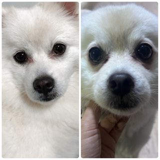 Bella님이 올린 리뷰 사진 1