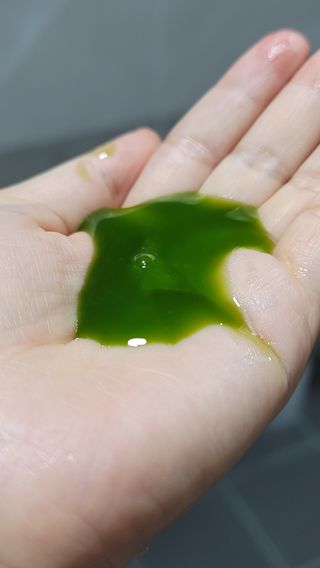 밍짜응님이 올린 리뷰 사진 2