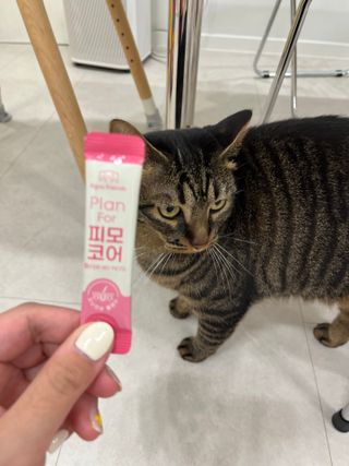 숑굥님이 올린 리뷰 사진 2