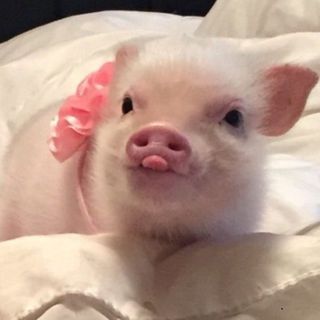 냐냐님이 올린 리뷰 사진 3