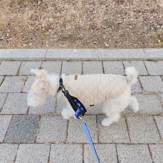 솜솜이2님이 올린 리뷰 사진 1