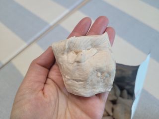 [펫시밀] 원물그대로 영양듬뿍 동결건조 왕북어트릿300g,왕치킨트릿400g,열빙어트릿300g 대용량 간식 — 5점을 준 리뷰어가 2023년 5월 올린 사용 사진