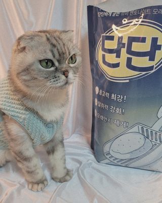 유햐님이 올린 리뷰 사진 2