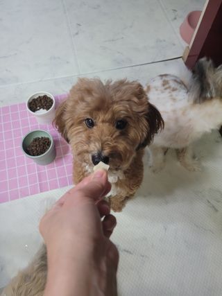 포비맘님이 올린 리뷰 사진 2