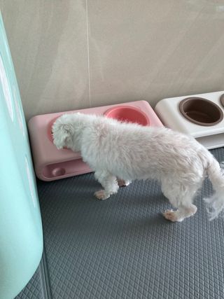 인절미인❣️님이 올린 리뷰 사진 4