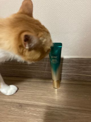 [NEW 탄력유턴 아이크림] AHC 유스 래스팅 리얼 아이크림 포 페이스 — 3.5점을 준 리뷰어가 2021년 3월 올린 사용 사진