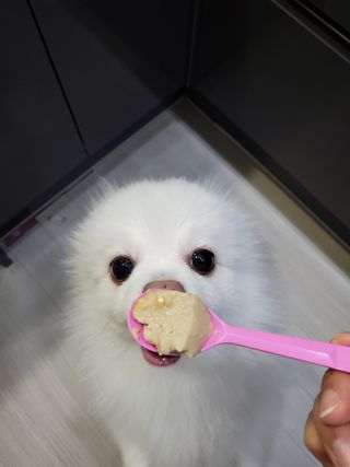 정꾸꾸님이 올린 리뷰 사진 2