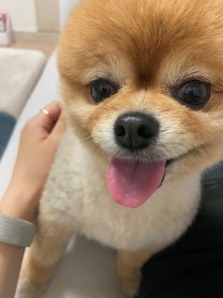 러블리님이 올린 리뷰 사진 3