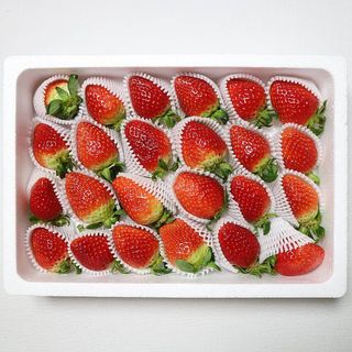 옳음 딸기 논산 설향 딸기 900g 산지직송 — 5점을 준 리뷰어가 2021년 1월 올린 사용 사진
