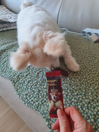 보미누나님이 올린 리뷰 사진 2