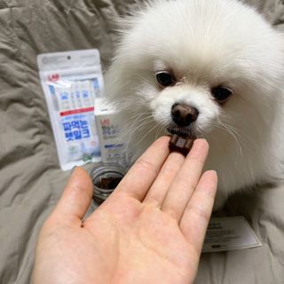 오랑이님이 올린 리뷰 사진 4