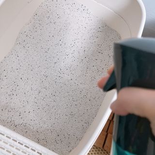 코박 스프레이 살균수  500ml 세트 — 4.5점을 준 리뷰어가 2022년 7월 올린 사용 사진