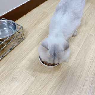 두히야님이 올린 리뷰 사진 1