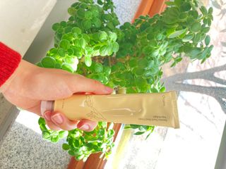 조승정님이 올린 리뷰 사진 1