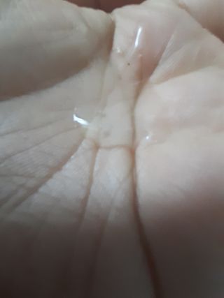 송송님이 올린 리뷰 사진 2