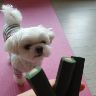 hosu.1230님이 올린 리뷰 사진 1