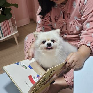 곰같은여우님이 올린 리뷰 사진 1