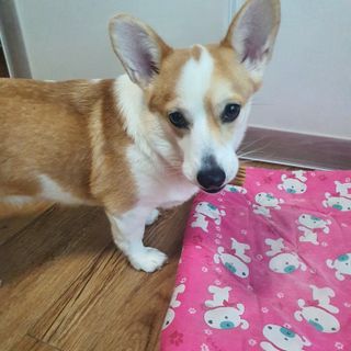 샤넬젤라님이 올린 리뷰 사진 3