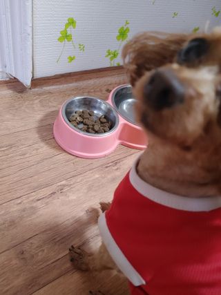 멍순이님이 올린 리뷰 사진 2