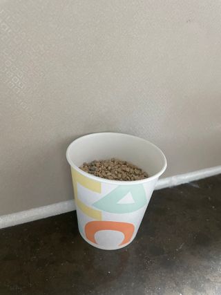 투워니맘님이 올린 리뷰 사진 4