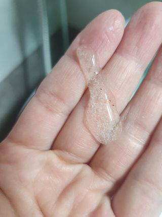 벨먼 내추럴스파 수분광채 스크럽 바디워시 600ml 5종 — 4.5점을 준 리뷰어가 2022년 5월 올린 사용 사진