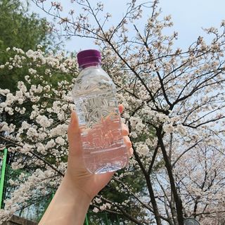 lala님이 올린 리뷰 사진 1