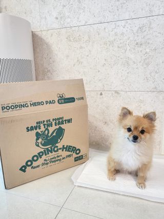 롬롬님이 올린 리뷰 사진 1