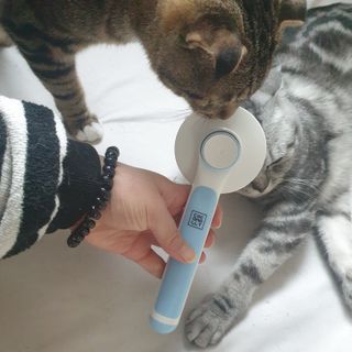 이째님이 올린 리뷰 사진 1