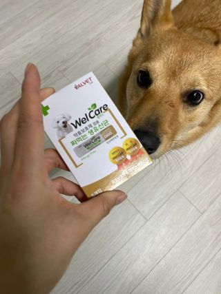 잘되길바래솔이님이 올린 리뷰 사진 1