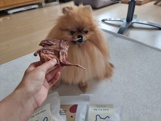 아롱이님이 올린 리뷰 사진 4