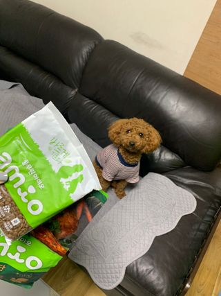 KellyChoi님이 올린 리뷰 사진 4