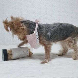 솜희님이 올린 리뷰 사진 3
