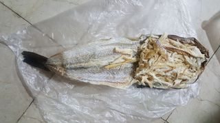 [오늘바스켓] 용대리 손질하늘태 130g — 5점을 준 리뷰어가 2021년 5월 올린 사용 사진