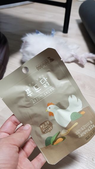 도그퓨어 푸드닭 강아지 닭고기 통살 애견간식 오리지널/차전자피/초록입홍합 — 5점을 준 리뷰어가 2021년 10월 올린 사용 사진