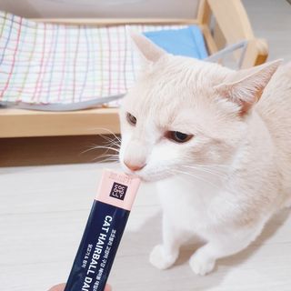 코코몰리 고양이 구강• 헤어볼 데일리 /신장• 요로 데일리 — 5점을 준 리뷰어가 2021년 1월 올린 사용 사진
