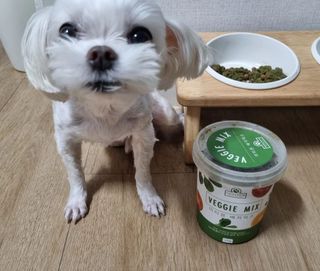 제잉님이 올린 리뷰 사진 1