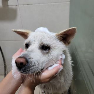 나래님이 올린 리뷰 사진 1