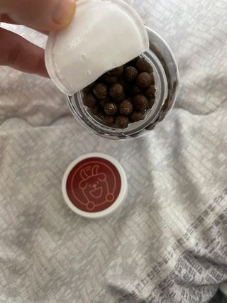 펫21 그로그로 5종 강아지 고양이 반려동물 한방 영양제 — 5점을 준 리뷰어가 2021년 11월 올린 사용 사진