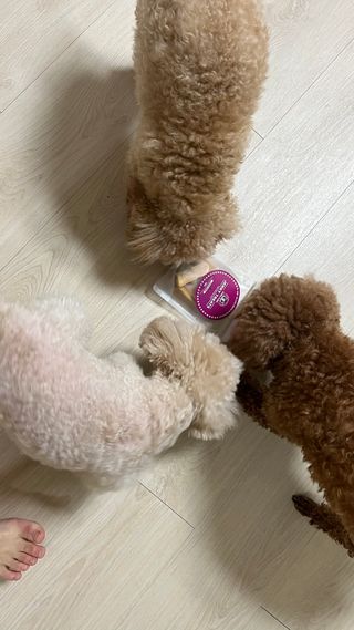 숙블리님이 올린 리뷰 사진 2